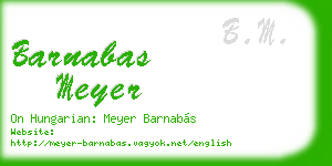 barnabas meyer business card