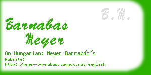 barnabas meyer business card